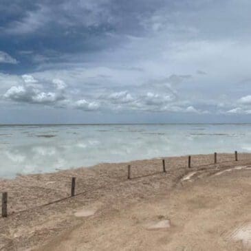 etosha pan filled with water after rainseason 2021 - Dusty Trails Safaris Namibia