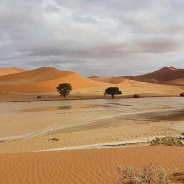 sossusvlei water and dunes in rain season 2021 - Dusty Trails Safaris Namibia