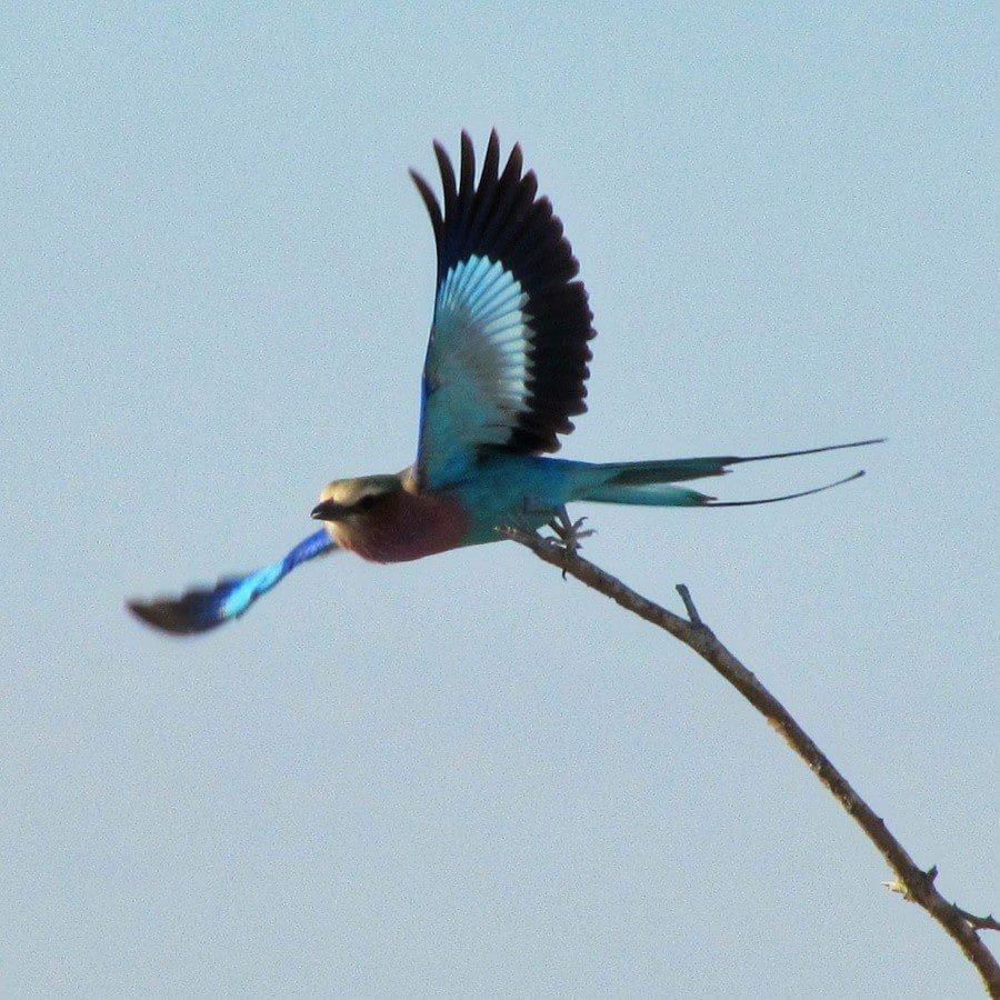 covid-in-namibia-the-current-situation-dusty-trails-safaris-namibia