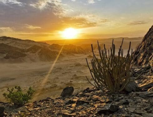 Travel Namibia and discover its wonders
