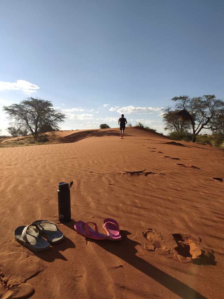 hiking in the red dunes of the Kalahari desert - Dusty Trails Safaris Namibia & Dusty Car Hire Namibia