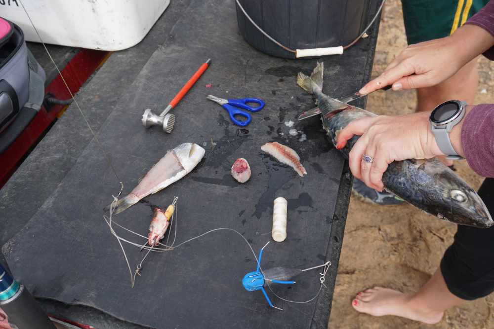 preparing bait for shark fishing