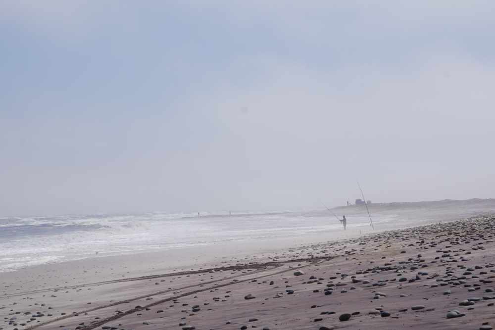 sea mist covering the beach at skeleton coast