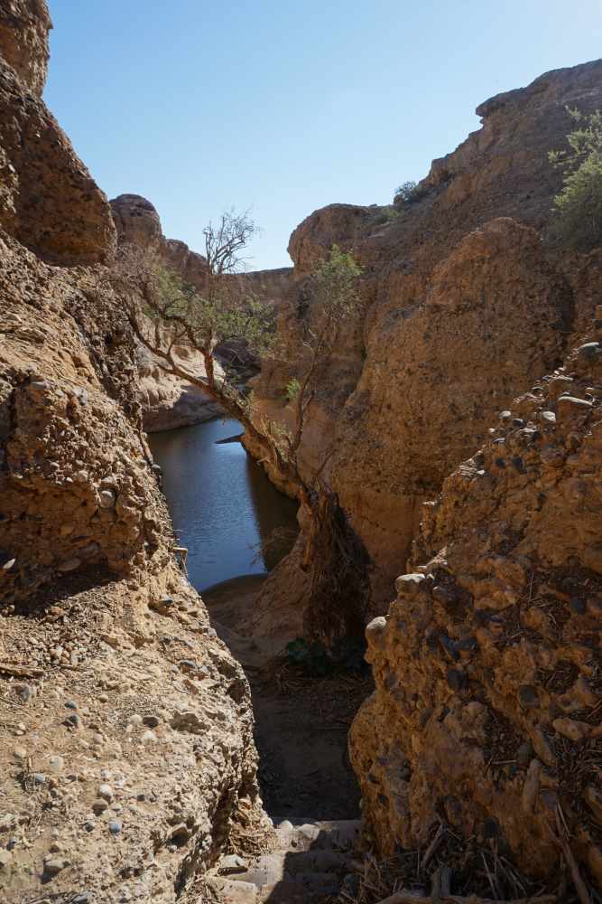 Sesriem Canyon im April 2021 - nach einer guten Regenzeit immer noch mit Wasser gefüllt