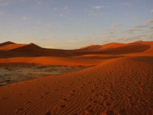 Sossusvlei dunes in the morning light