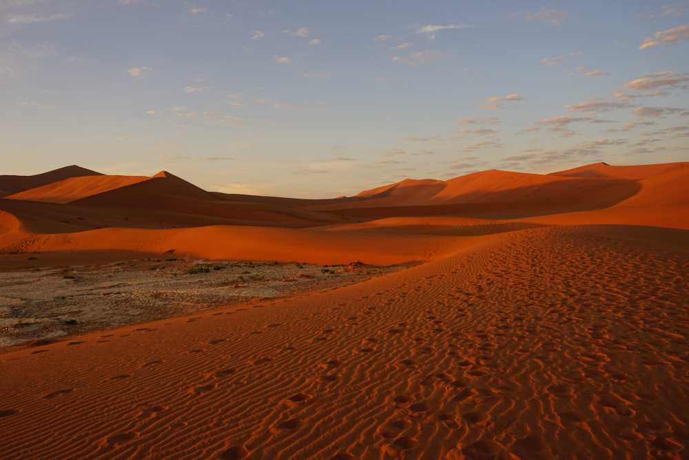 Sossusvlei dunes in the morning light